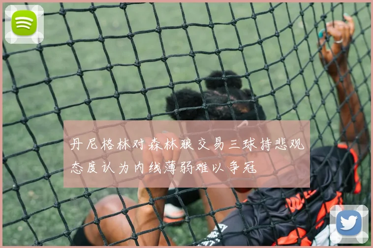 丹尼格林对森林狼交易三球持悲观态度认为内线薄弱难以争冠